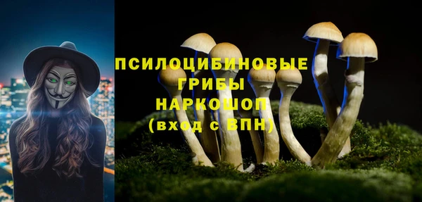 2c-b Дмитров
