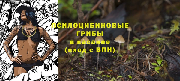 2c-b Дмитров