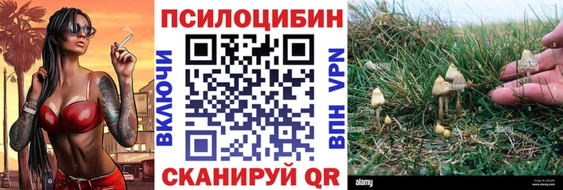 Галлюциногенные грибы GOLDEN TEACHER  Купить  Устюжна 