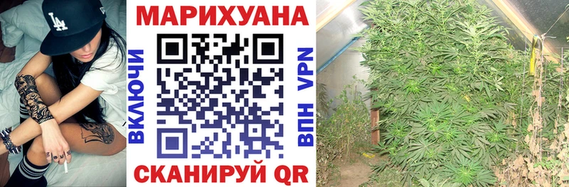 Купить закладки  Устюжна  Марихуана White Widow 